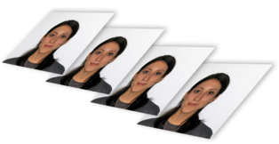 Printed passport photo set
