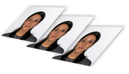 Printed passport photo set