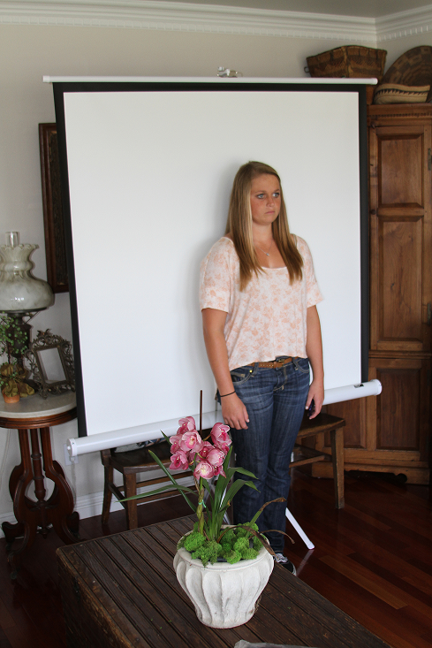 Portable backdrop set up for a passport photo at home