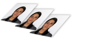 Printed passport photo set