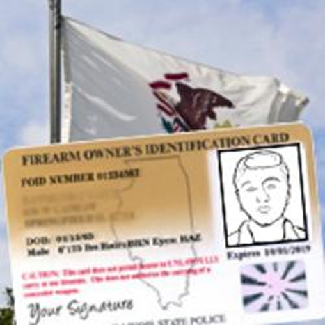 Example firearm owner identification card and passport