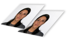 Printed passport photo set