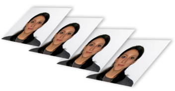 Printed passport photo set