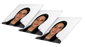 Printed passport photo set
