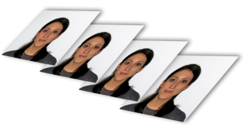 Printed passport photo set